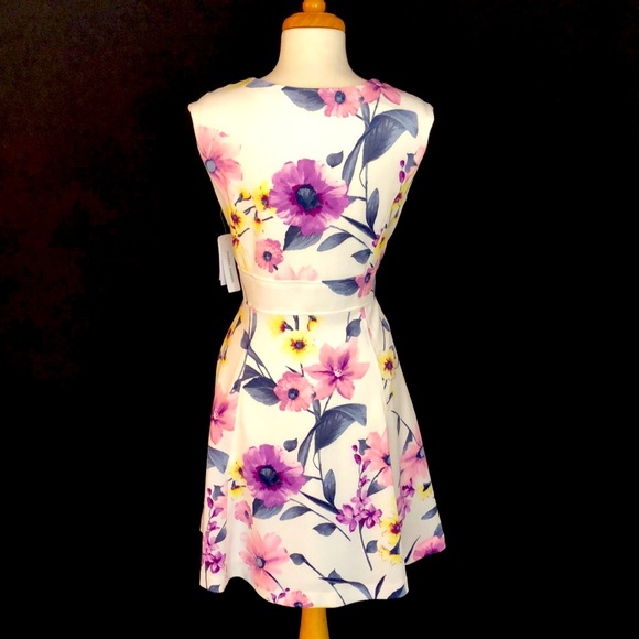 NWT Sandra Darren Ivory Floral Dress - Picture 3 of 5